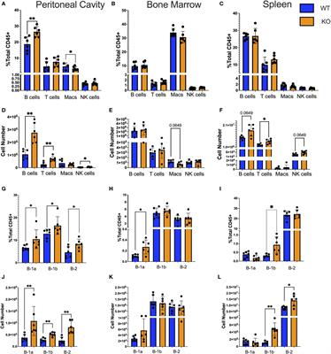 Loss of TET2 increases B-1 cell number and IgM production while limiting CDR3 diversity